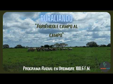 Ruraliando